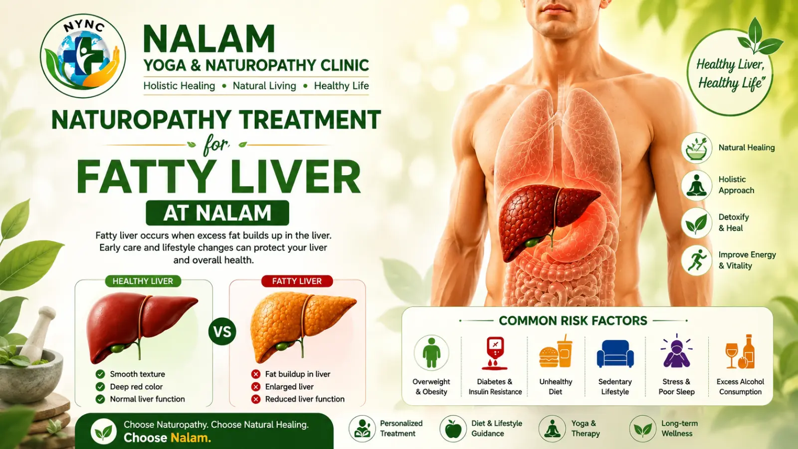 Naturopathy Treatment for Fatty Liver at Nalam